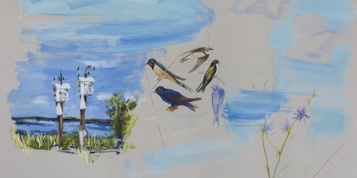 Field Notes Art Exhibition