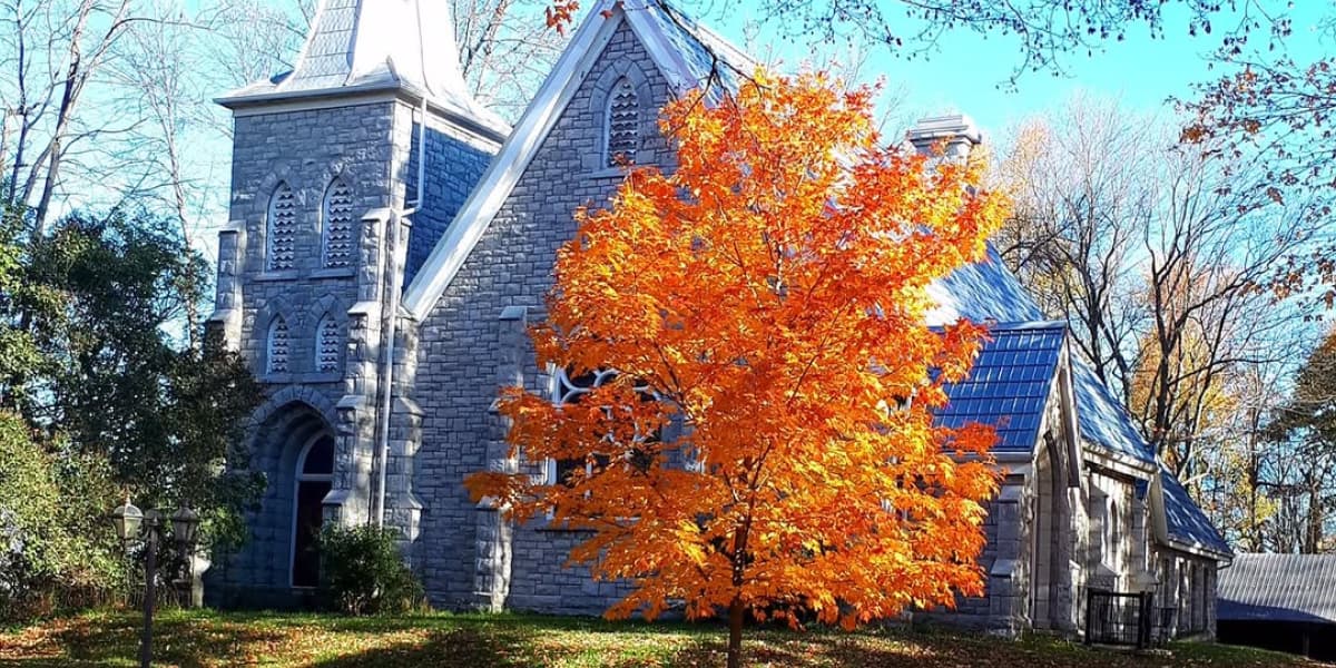 Amherst Island Women's Institute's Winter Market