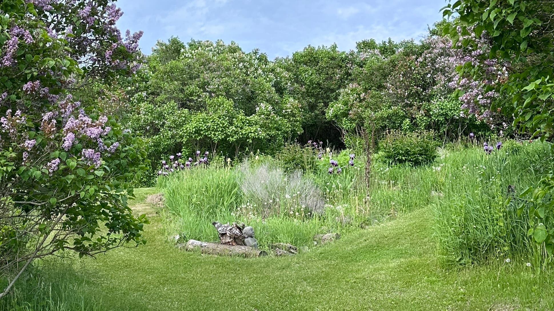 The Lilac Forest Walkabout Experience May 23-24
