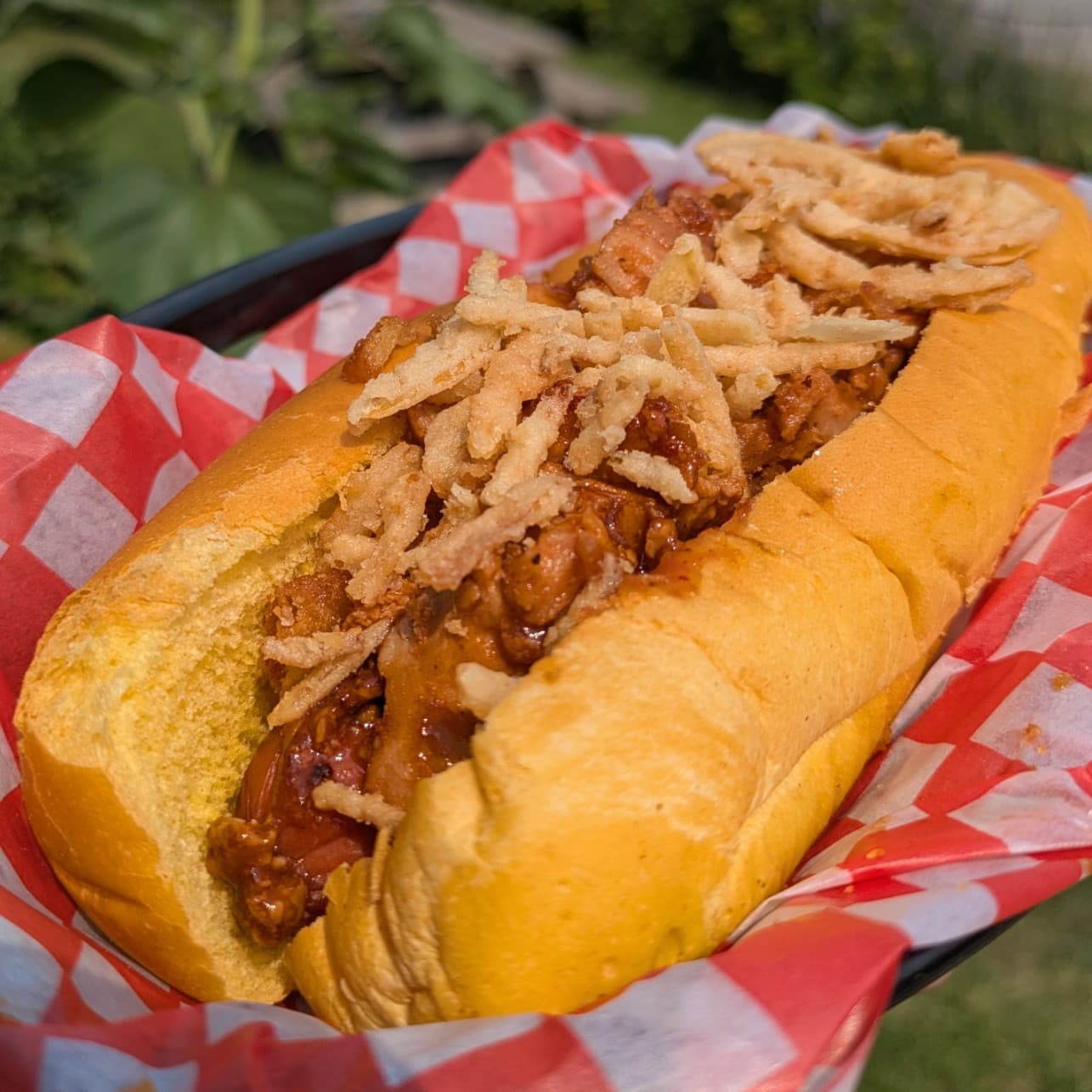 Stella Bay Dog