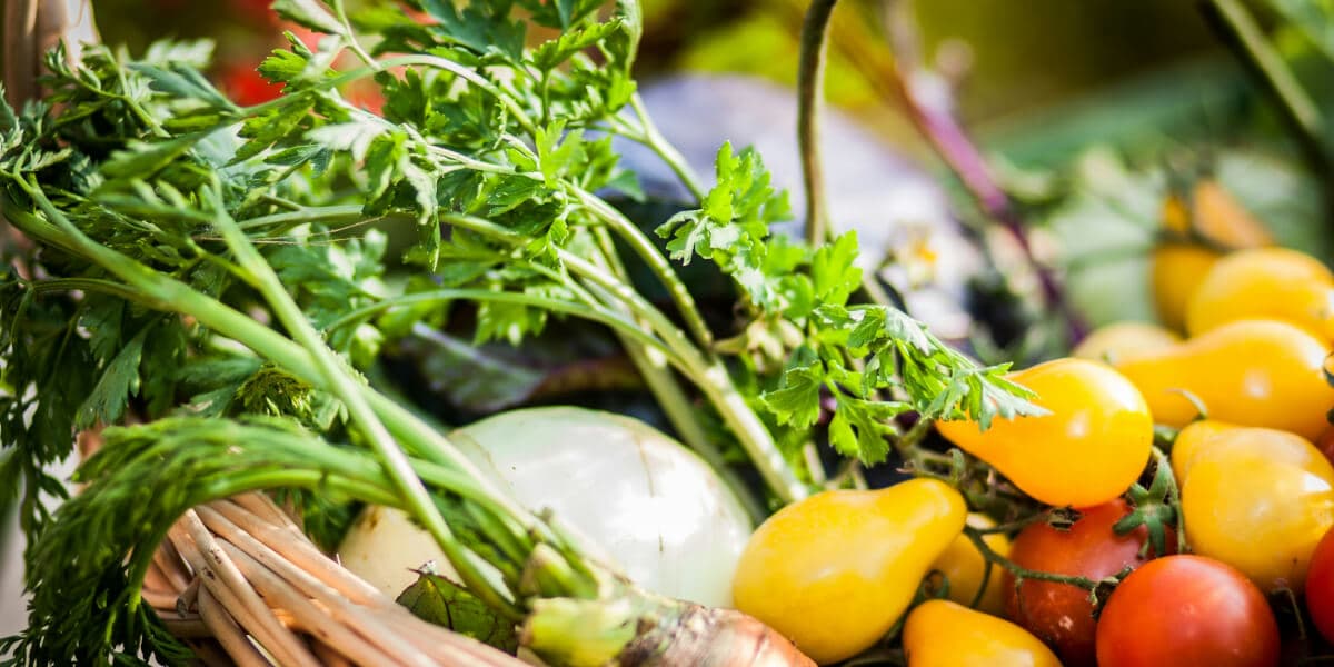 Support Local Food Pantries